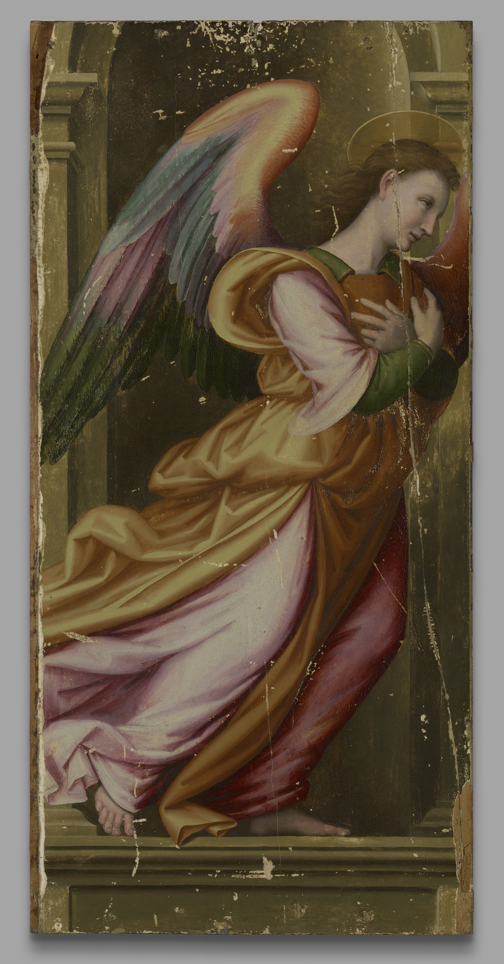 Angel in Adoration by Giovanni Antonio Sogliani