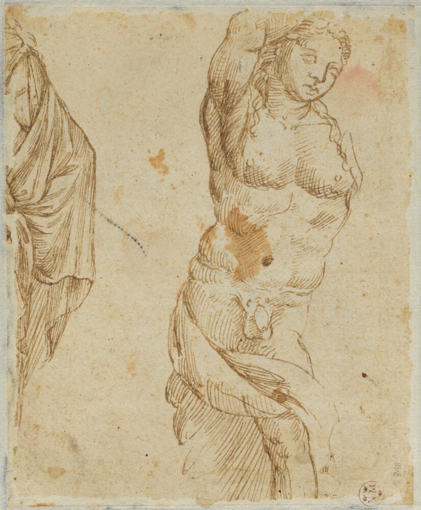 Studies of Antique Sculptures by Giovanni da Udine