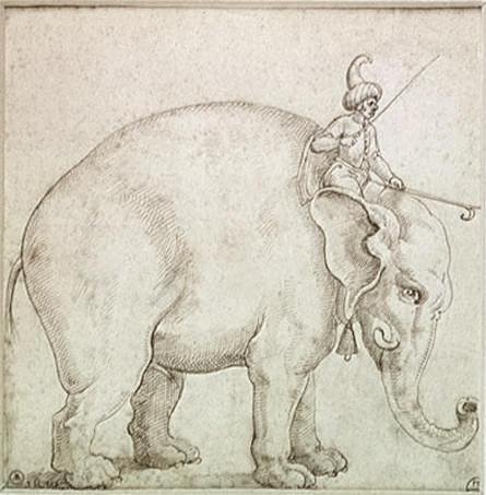 The Elephant Hanno and his Mahout by Giovanni da Udine
