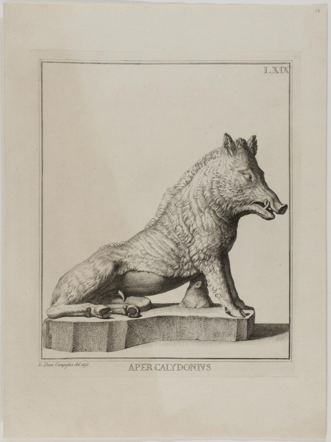 The Caledonian Boar by Giovanni Domenico Campiglia