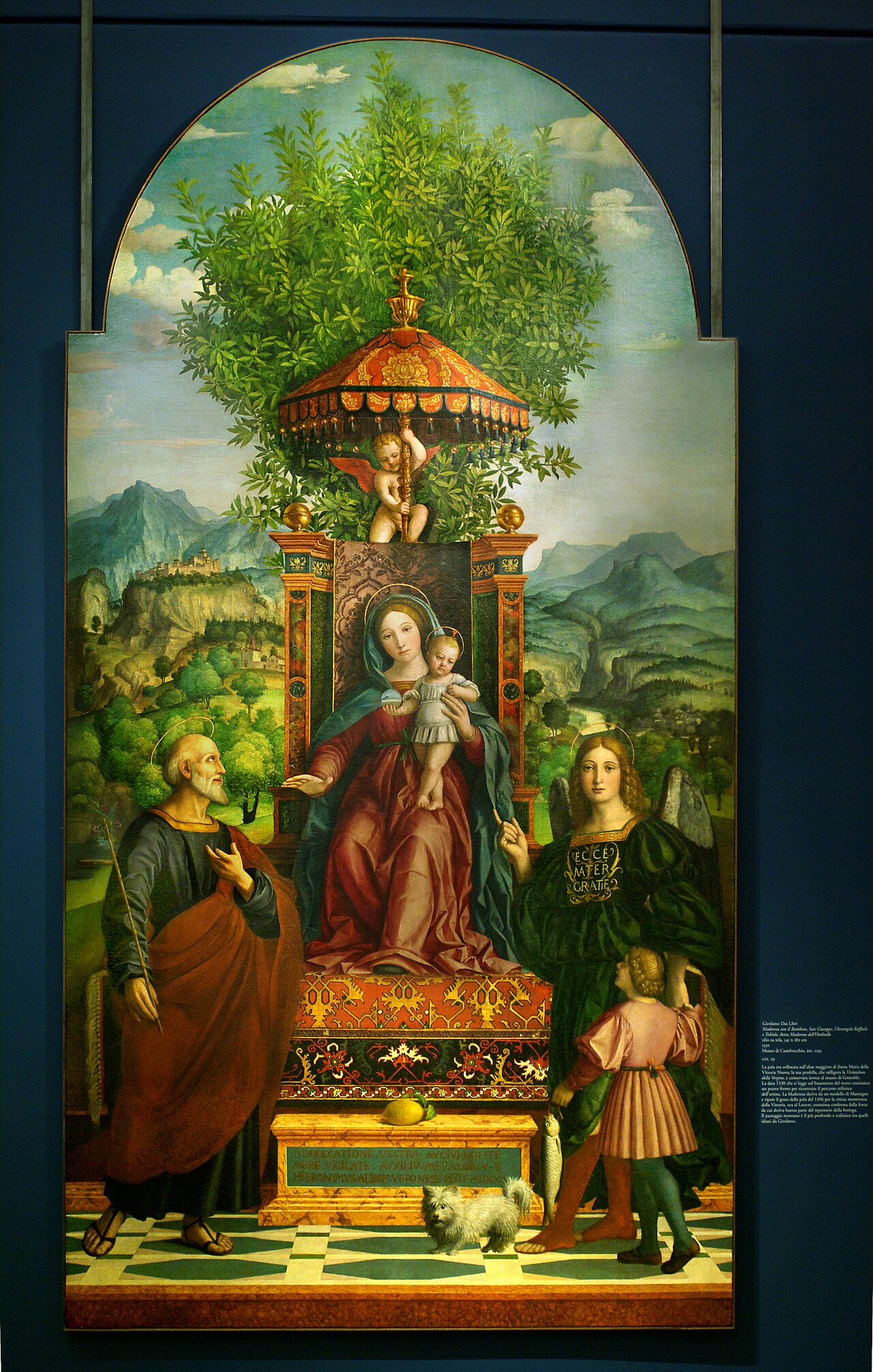 Madonna dell'ombrello by Girolamo dai Libri, Museo Castelvecchio by Girolamo dai Libri