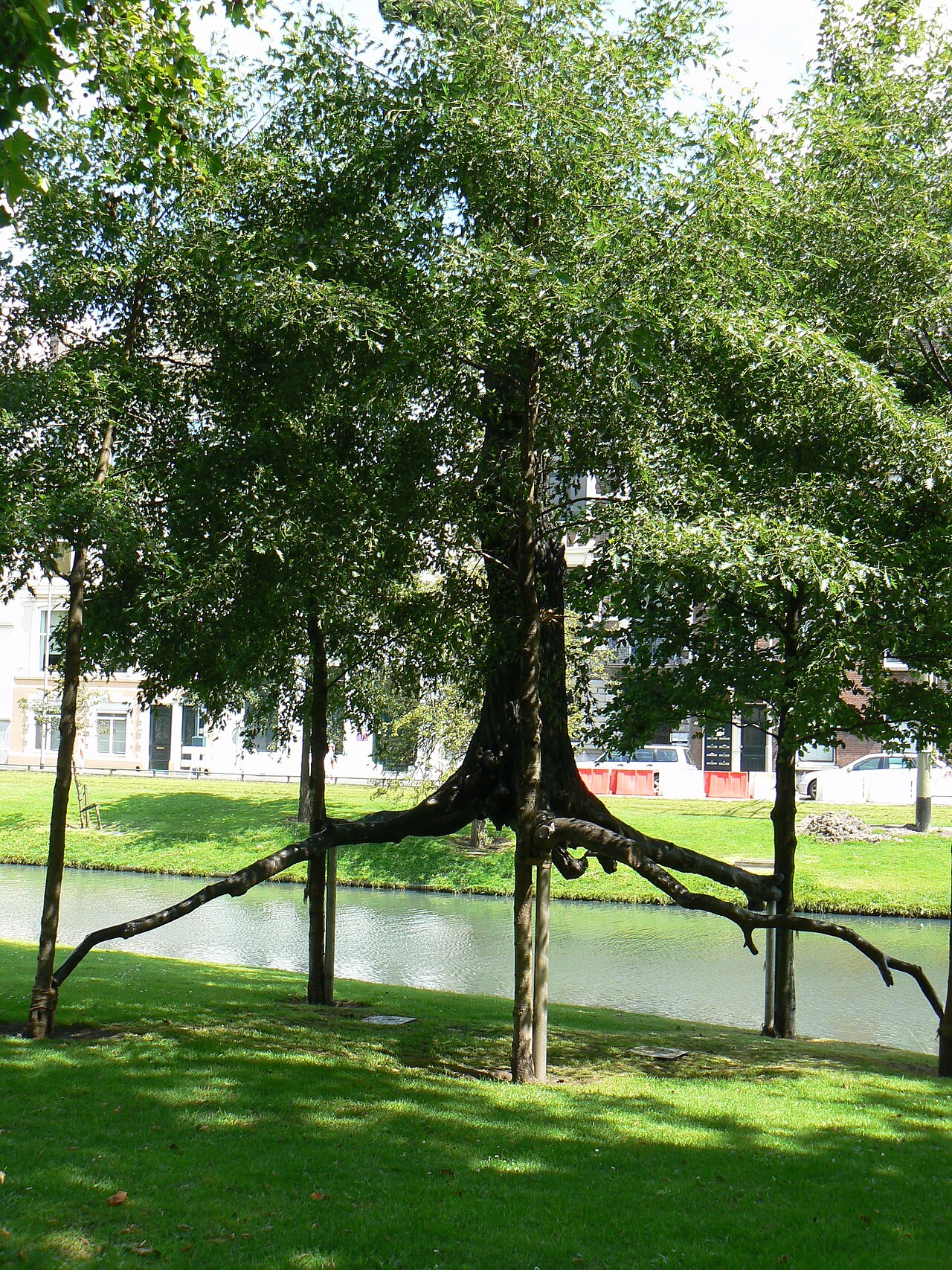 Elevazione by Giuseppe Penone