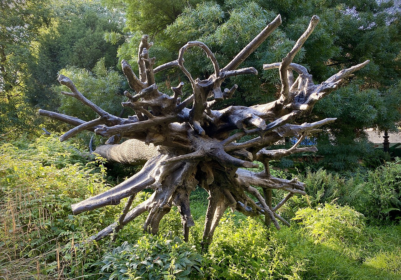 L'Arbre des voyelles by Giuseppe Penone
