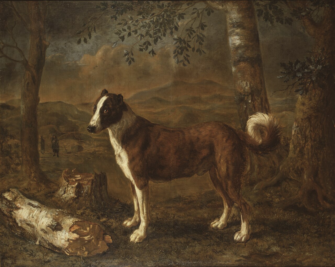 Dog and a Birch Log by Govert Dircksz Camphuysen
