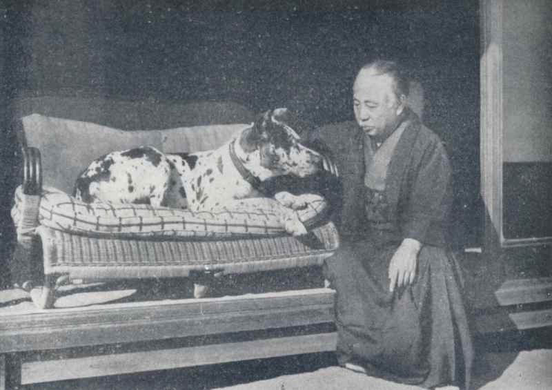 Portrait of Hashimoto Kansetsu