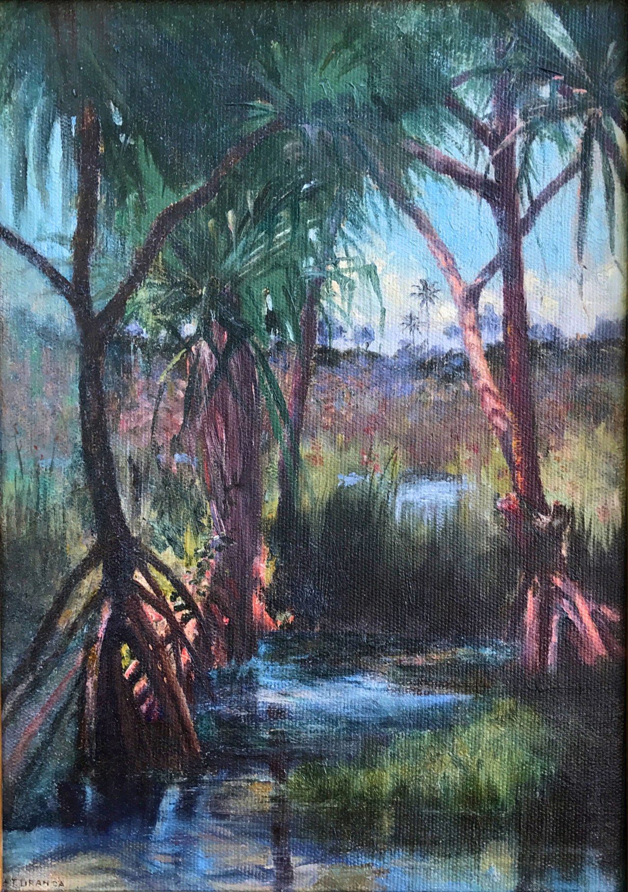 Pu Hala on the Waiakea River near Hilo, Hawaii by Helen Thomas Dranga
