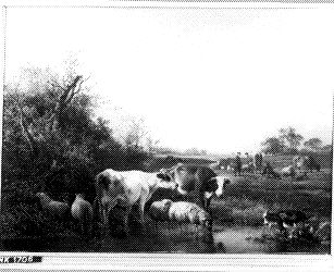 cows and sheep by Hendrik van de Sande Bakhuyzen