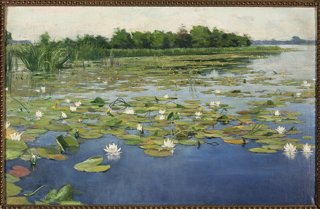 Water lilies. by Henryk Weyssenhoff