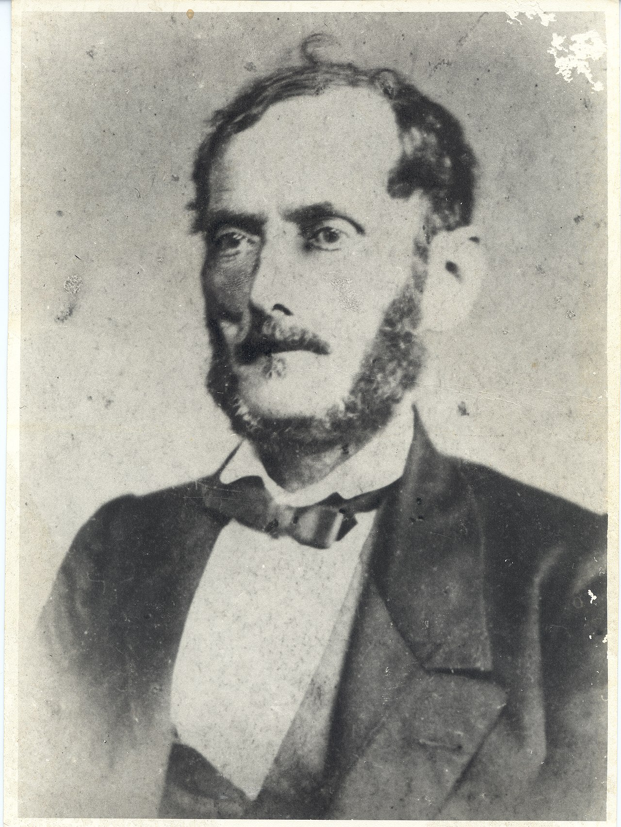 Portrait of Hércules Florence