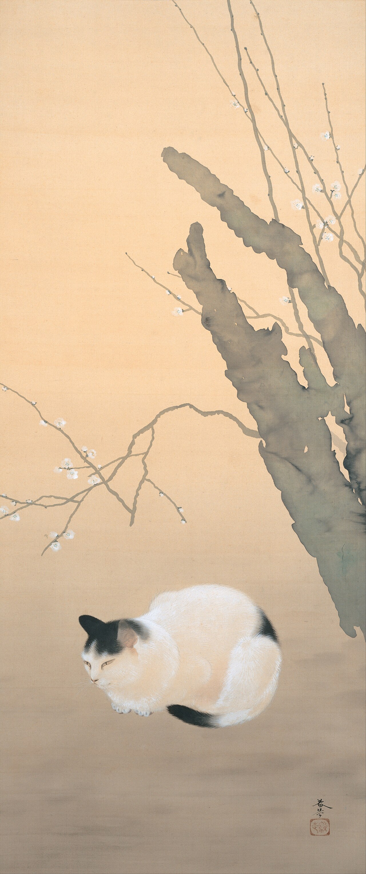 Cat and Plum Blossoms by Hishida Shunsō