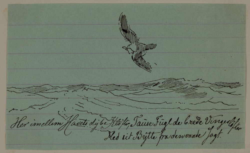 Sjöfågel med fisk i näbben, diktillustration by Holger Roed