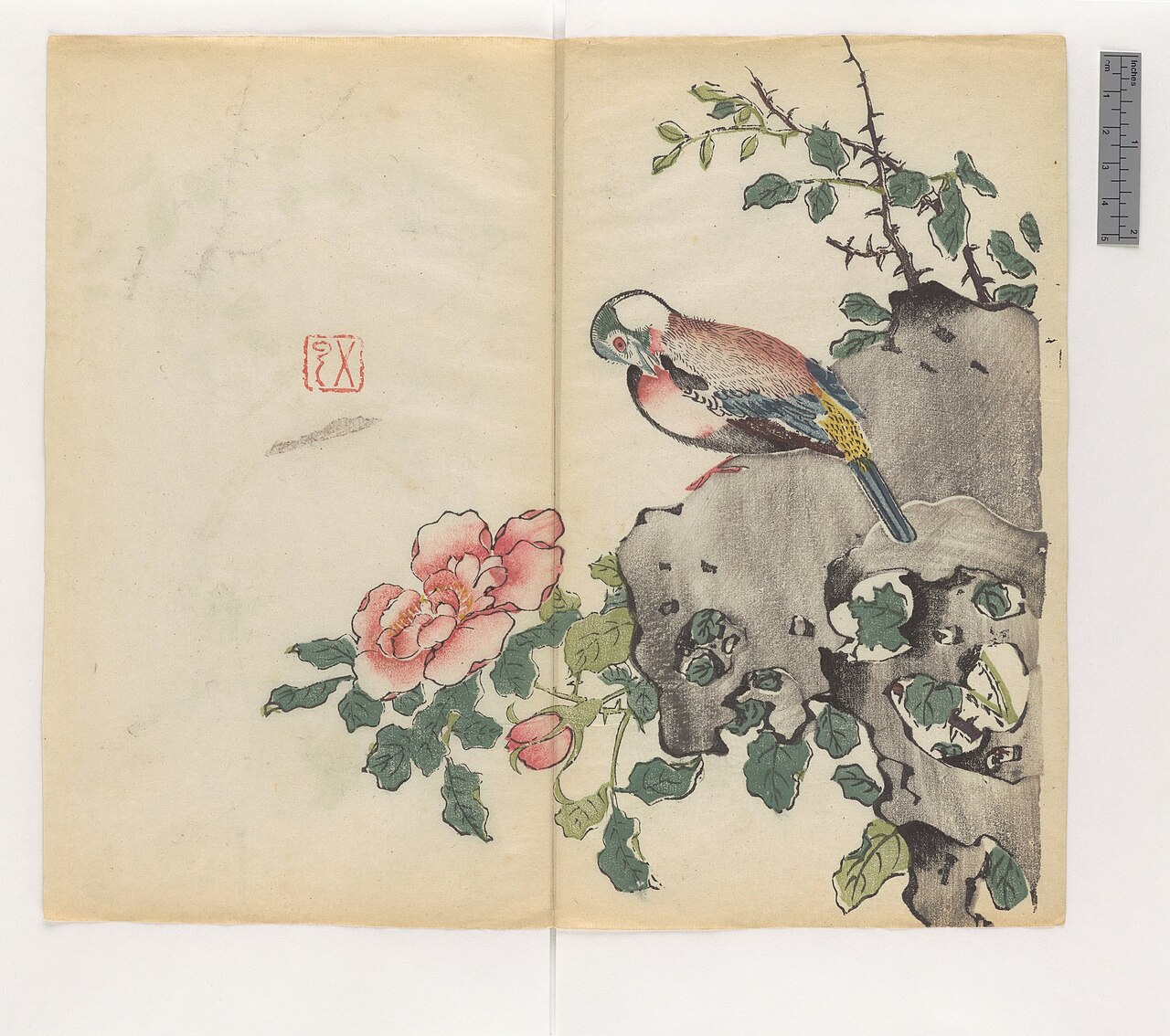 Shi zhu zhai shu hua pu (FH.910.83-98) by Hu Zhengyan
