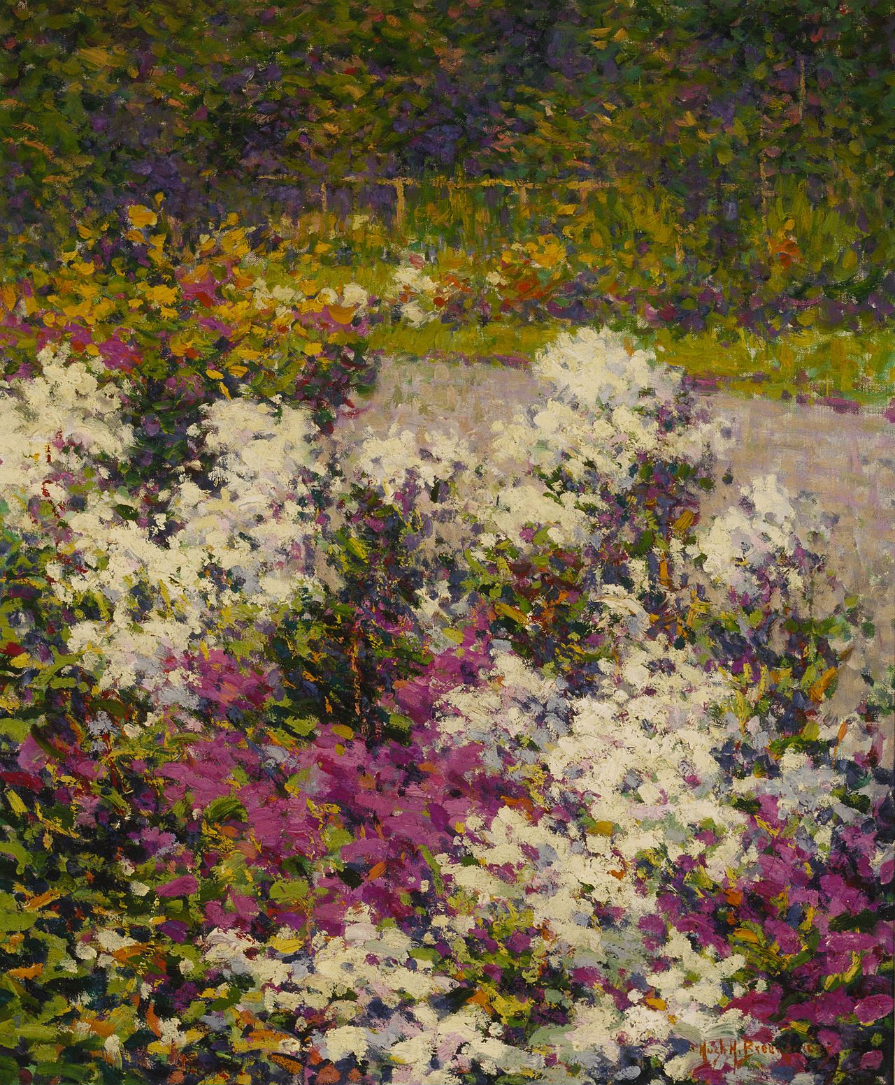 White Phlox by Hugh Henry Breckenridge