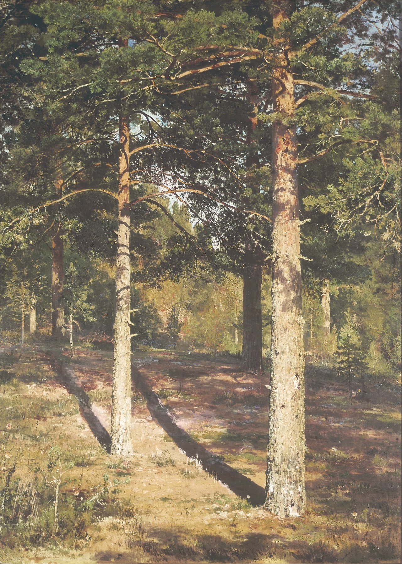 The Sun Lit Pines by Ivan Shishkin