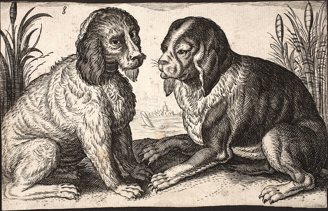 Two dogs by a lakeside by Jacob Matham