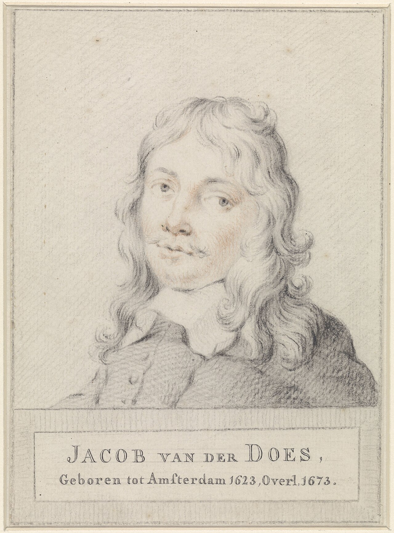Portrait of Jacob van der Does