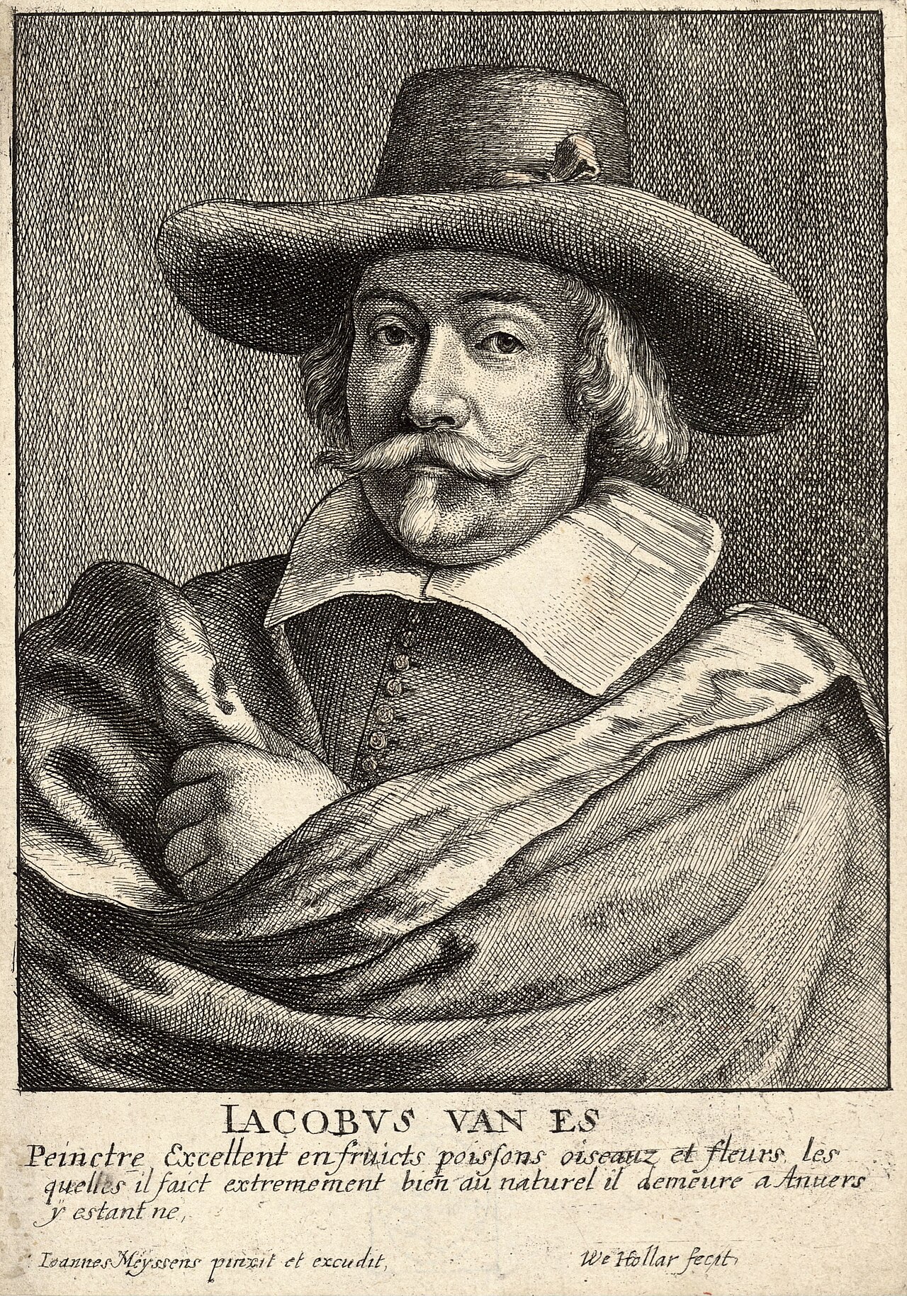 Portrait of Jacob van Es