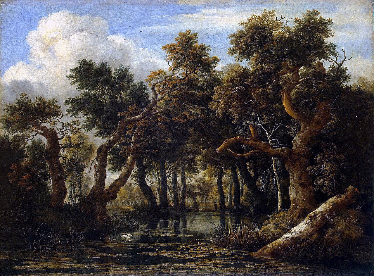 A Wooded Marsh by Jacob van Ruisdael