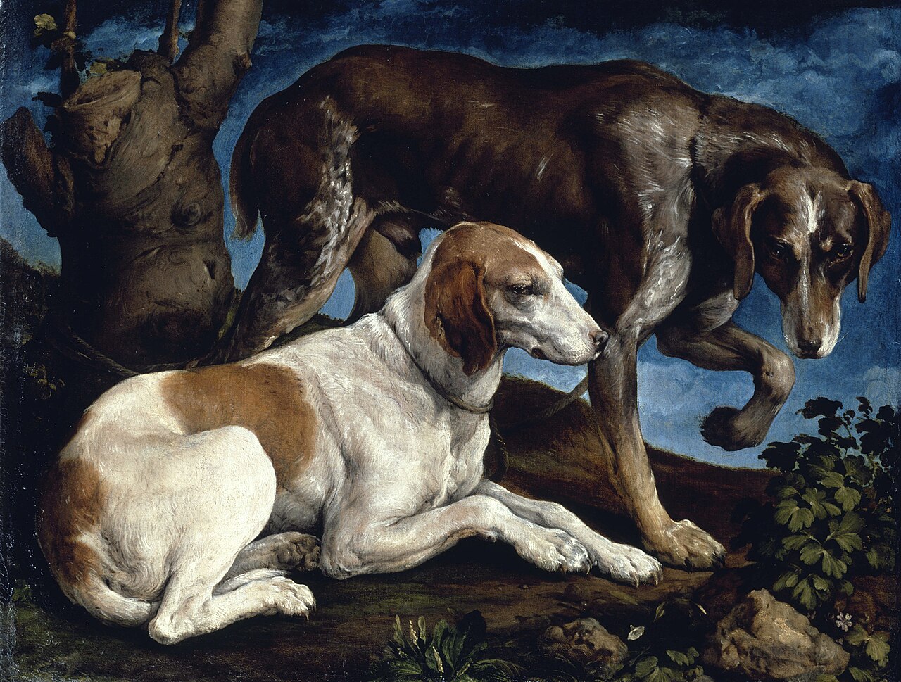 Two Hounds by Jacopo Bassano