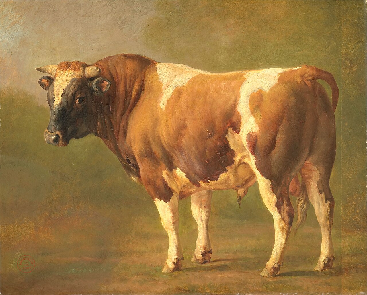 Study of a Bull by Jacques Raymond Brascassat