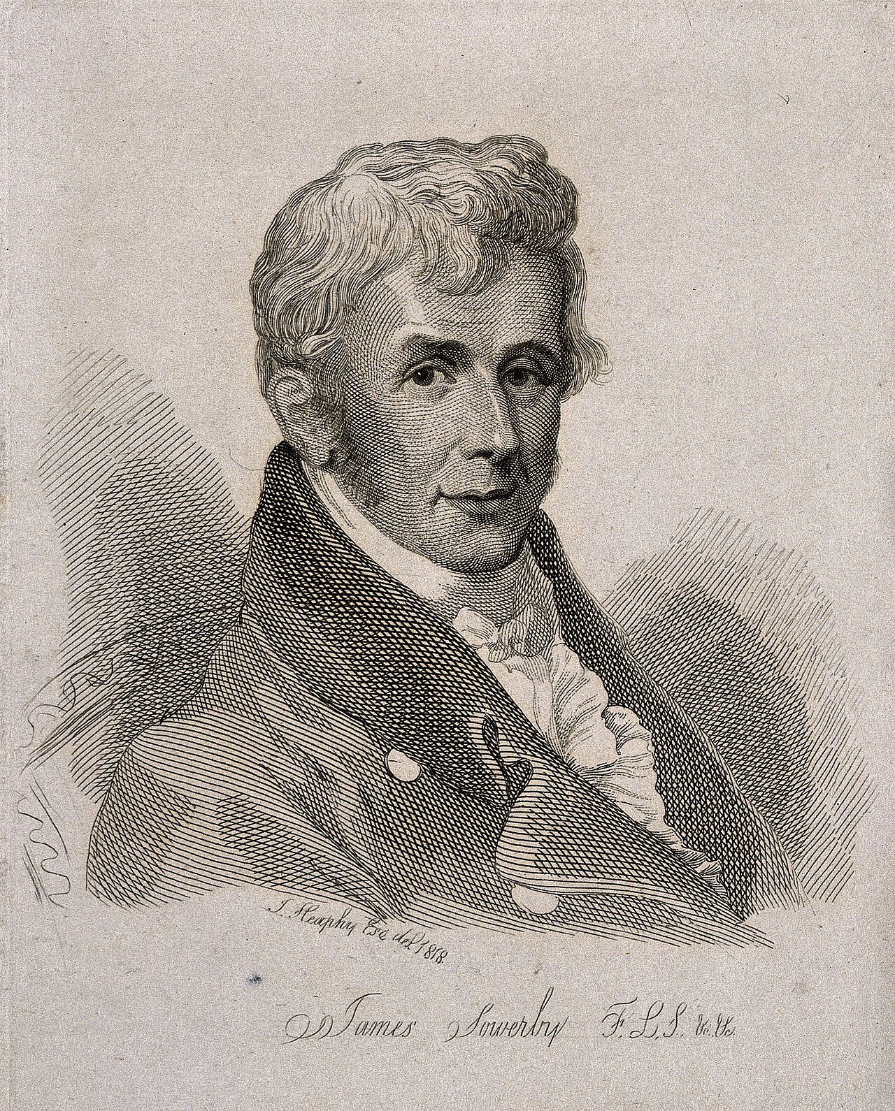 Portrait of James Sowerby