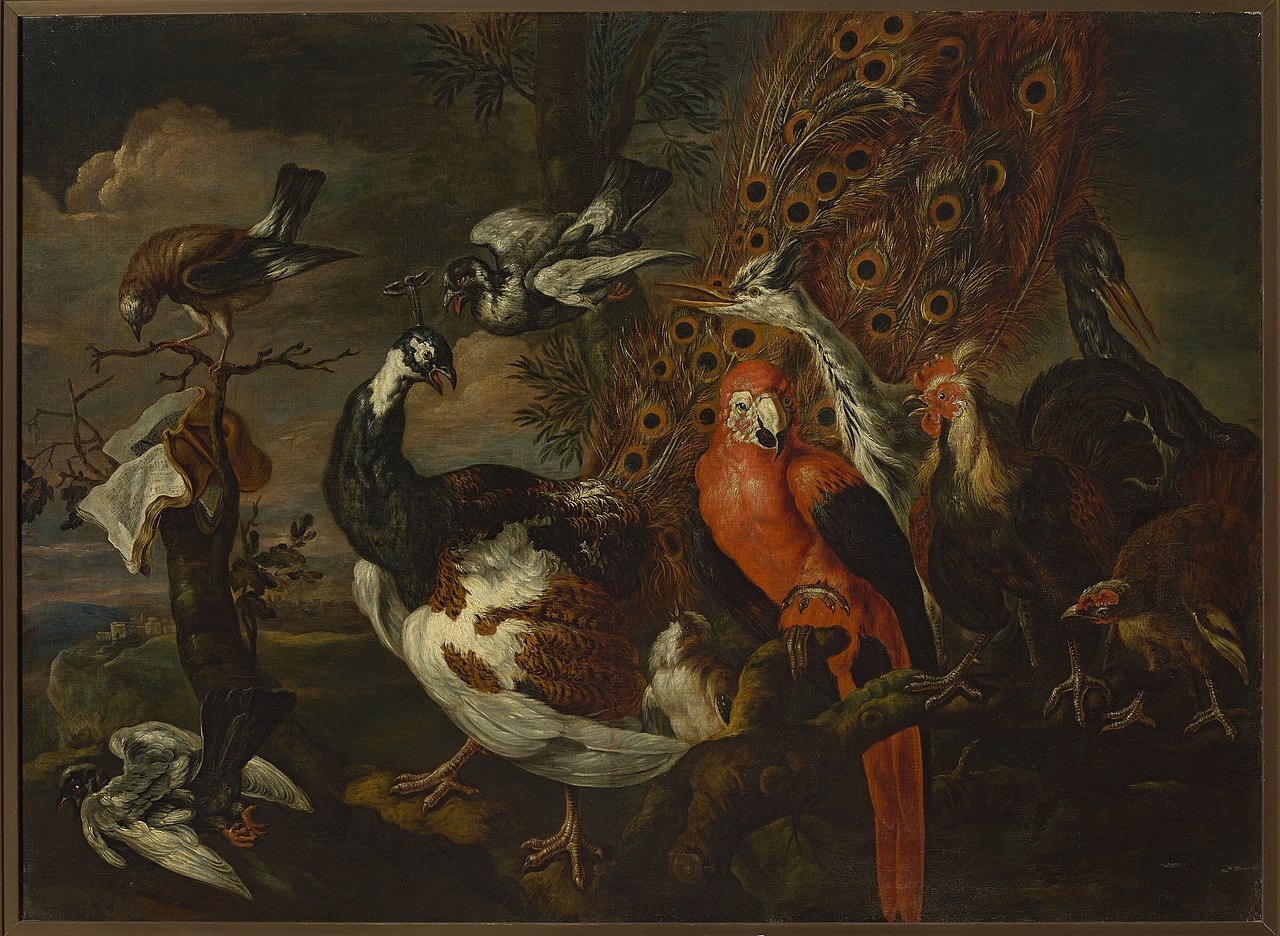 Bird concert by Jan Fyt