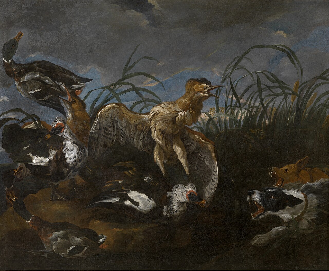 Bittern and Ducks Startled by Dogs by Jan Fyt