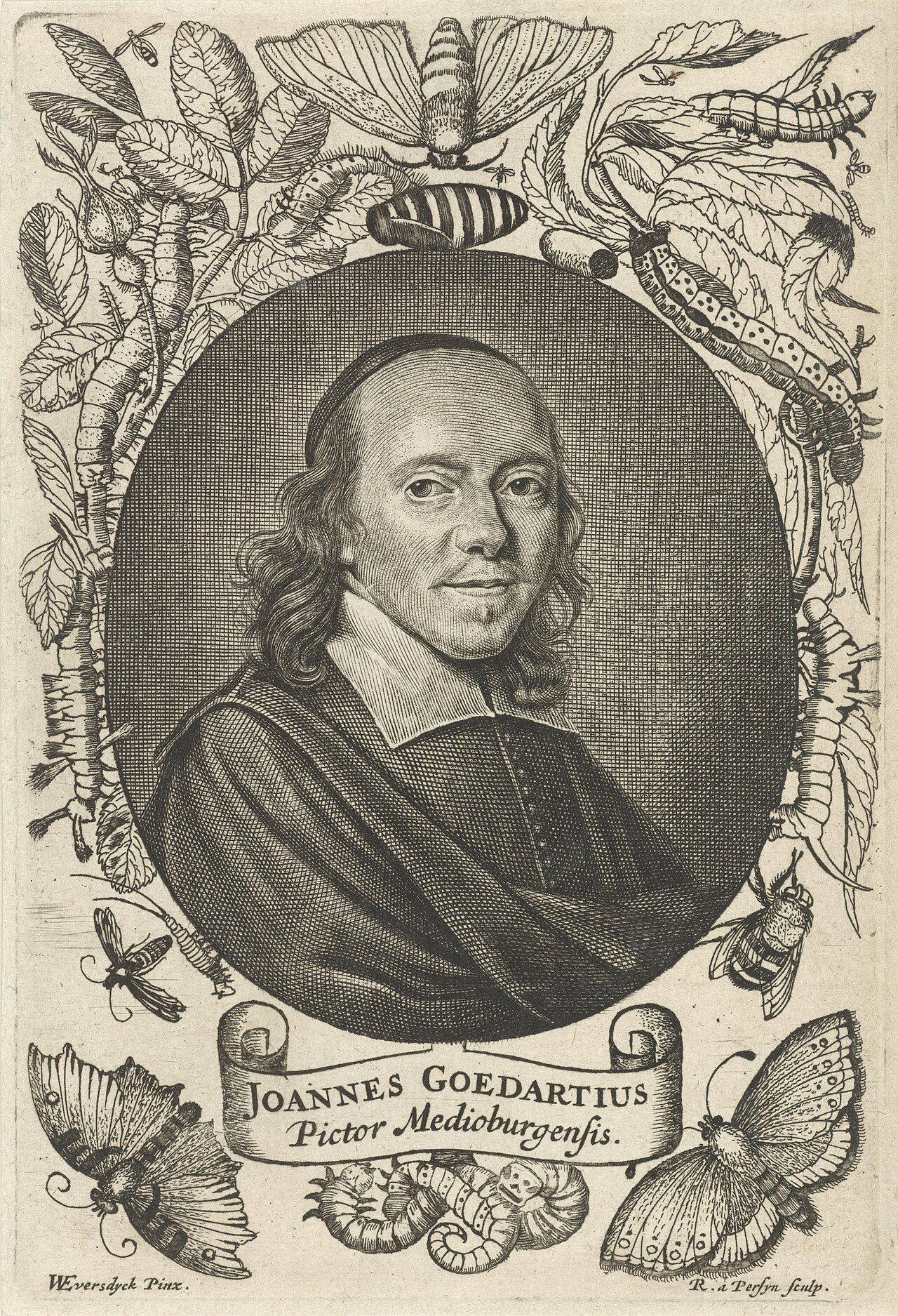 Portrait of Jan Goedart