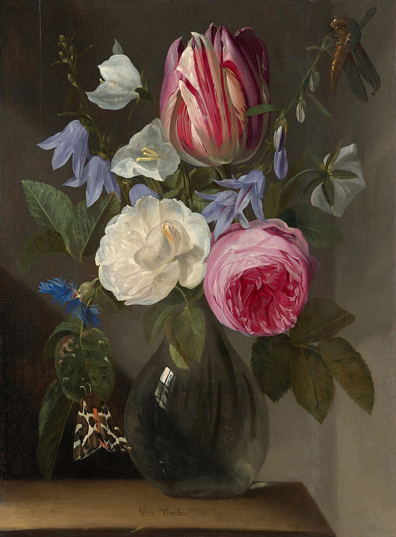 Roses and a Tulip in a Glass Vase by Jan Philip van Thielen