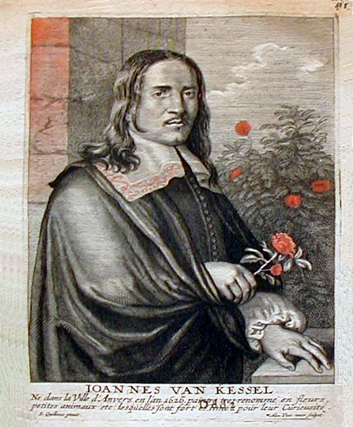 Portrait of Jan van Kessel the Elder