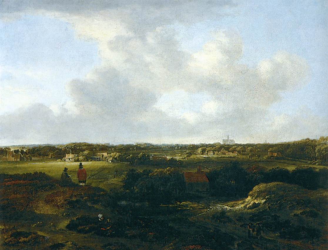 View of Haarlem from the Dunes by Jan Vermeer van Haarlem the Elder