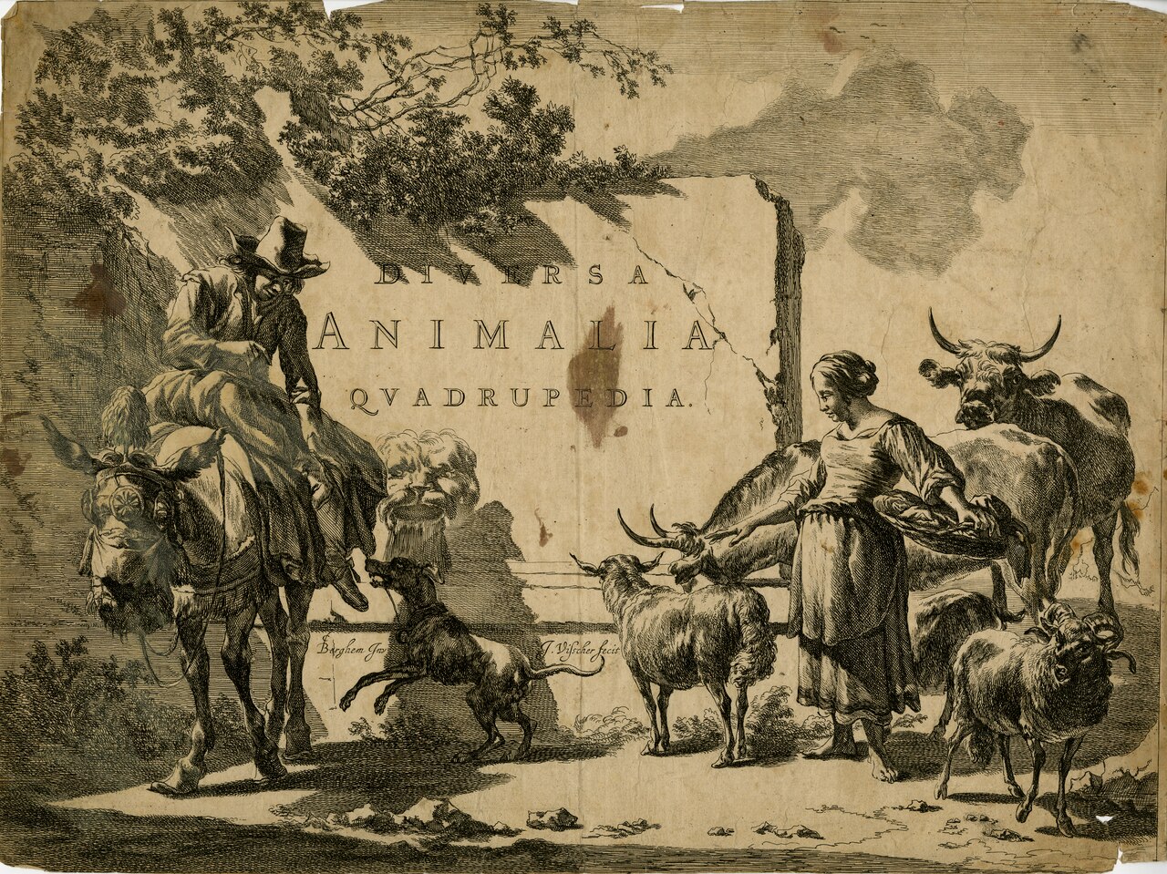 Diversa Animalia Quadrupedia by Jan Visscher