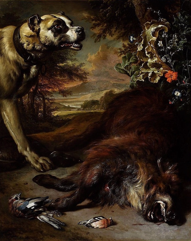 A dog over a dead boar. by Jan Weenix