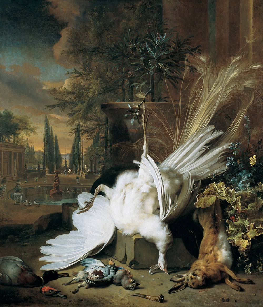 The white Peacock by Jan Weenix