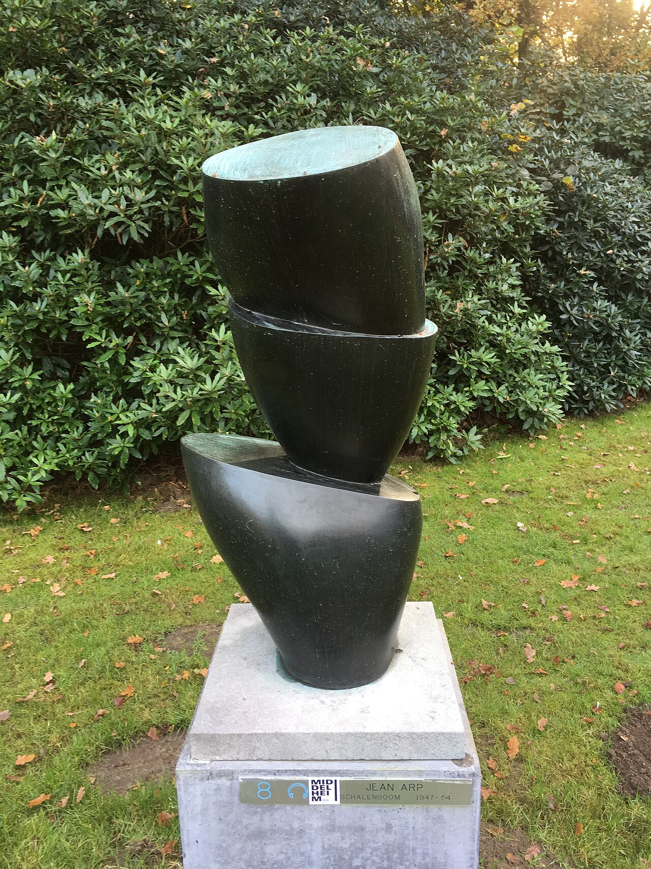 Schalenboom by Jean Arp