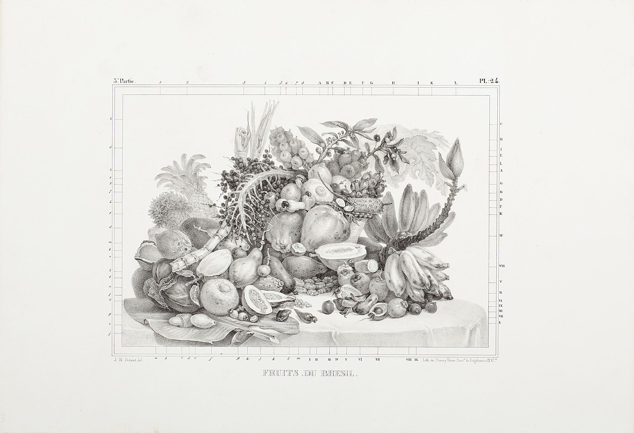 Fruits du Bresil by Jean-Baptiste Debret