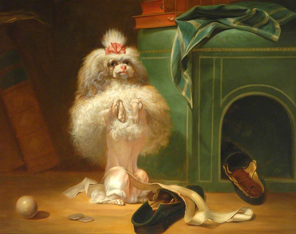 Dog of the Havana Breed by Jean-Jacques Bachelier