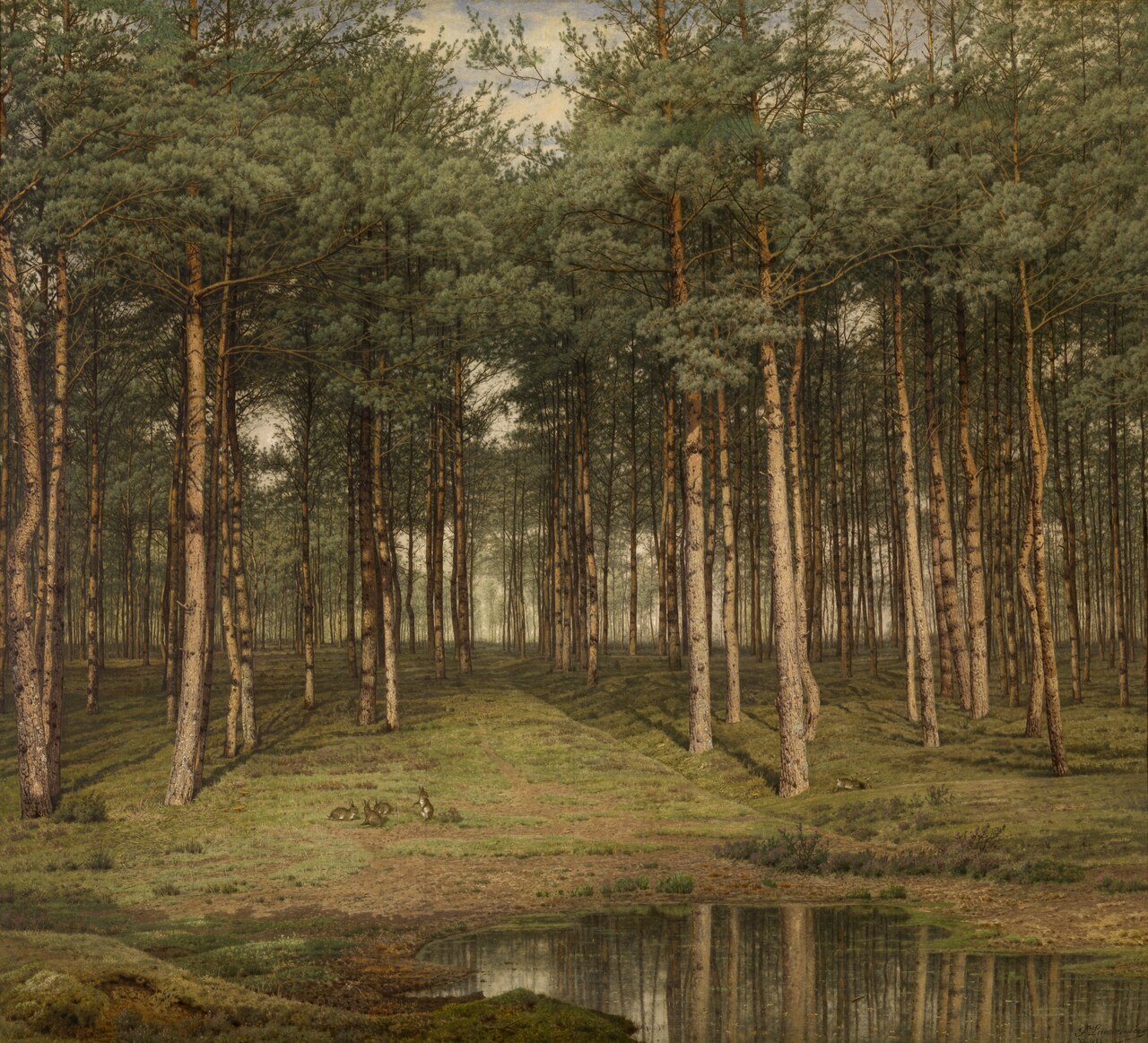 Fir Wood at Putte by Jean Pierre François Lamorinière