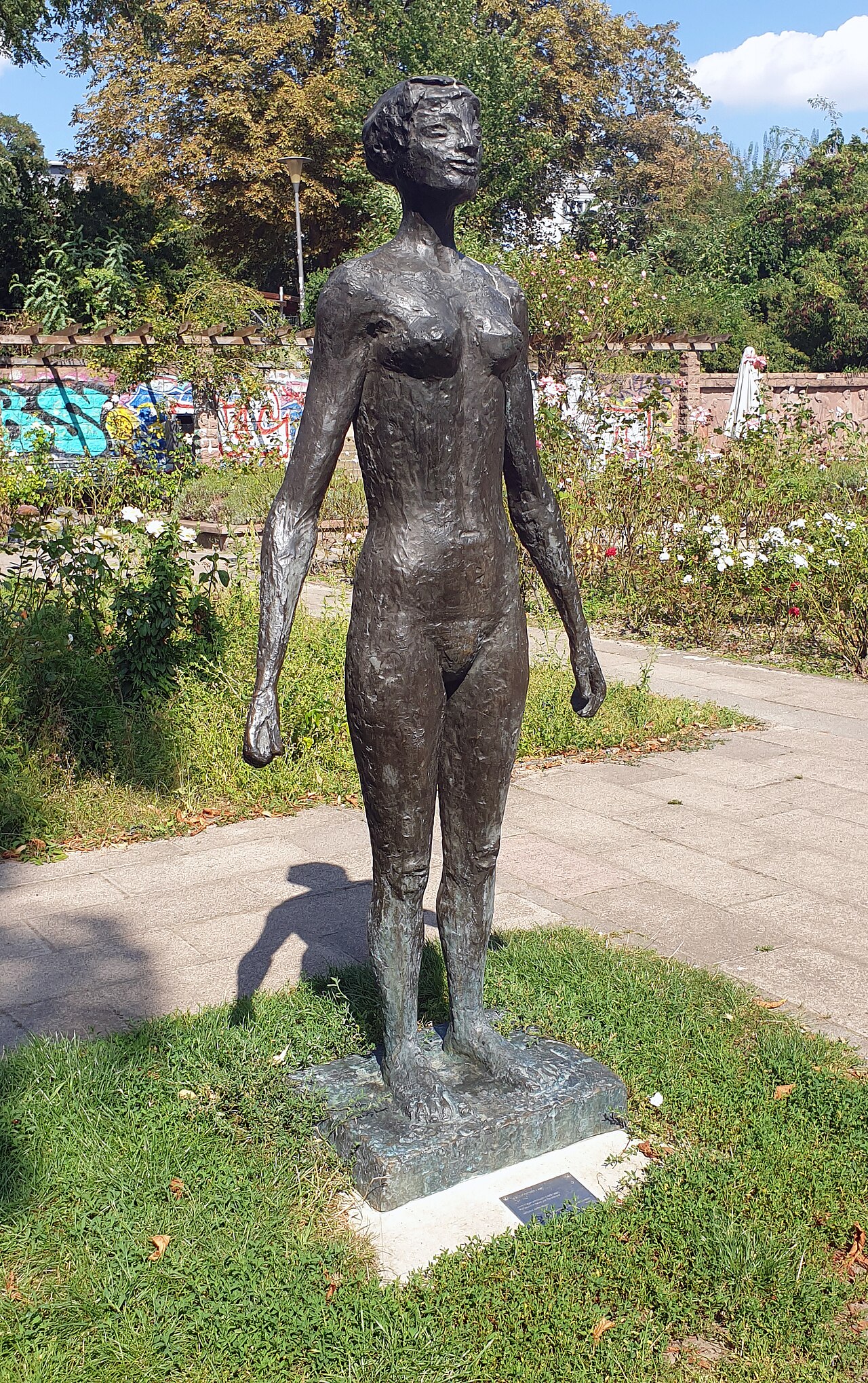 female swimmer by Jenny Mucchi-Wiegmann