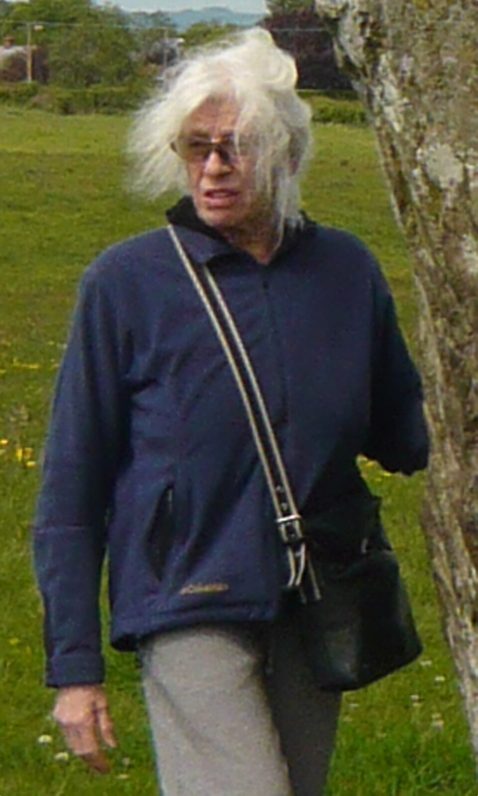 Portrait of Jo Baer