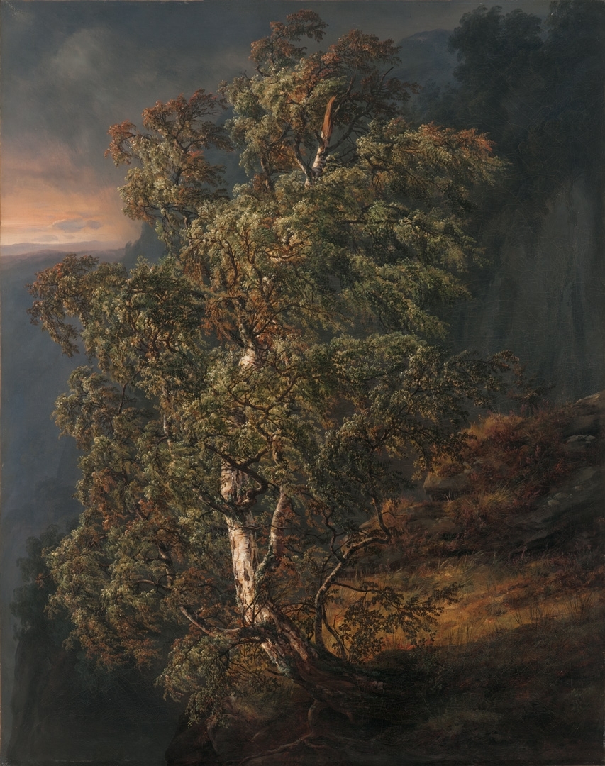 Birch Tree in a Storm by Johan Christian Dahl