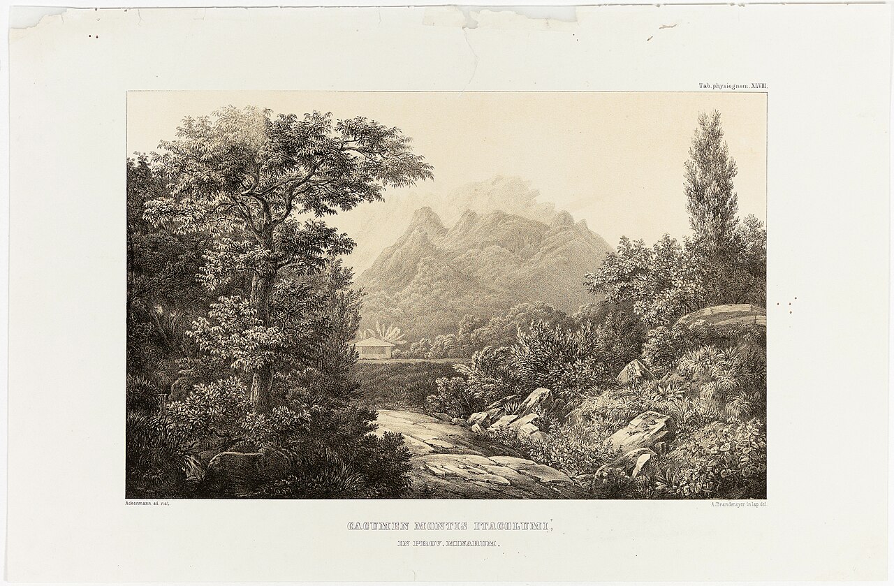 Cacumen Montis Itacolumí, in Prov. Minarum by Johann Adam Ackermann