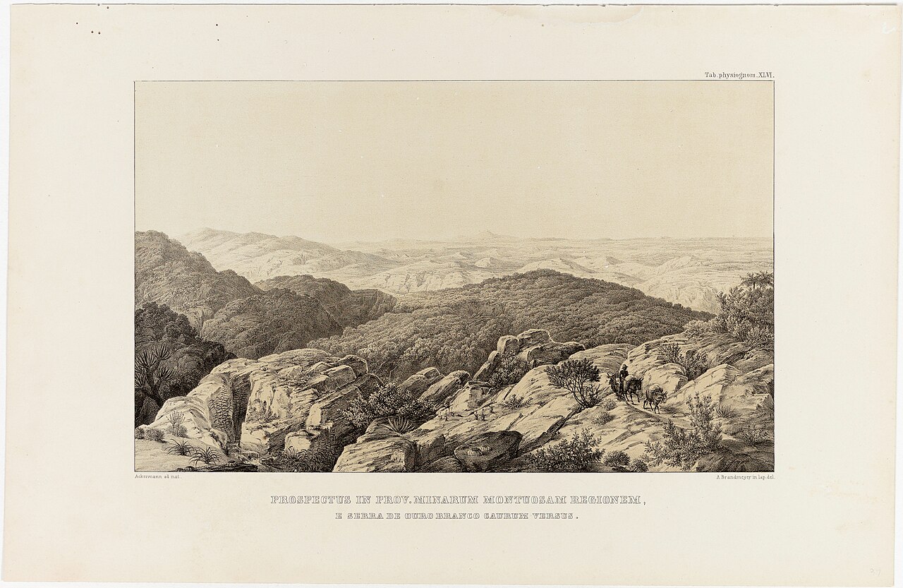 Prospectus in Prov. Minarum Montuosam Regionem e Serra de Ouro Branco Caurum Versus by Johann Adam Ackermann
