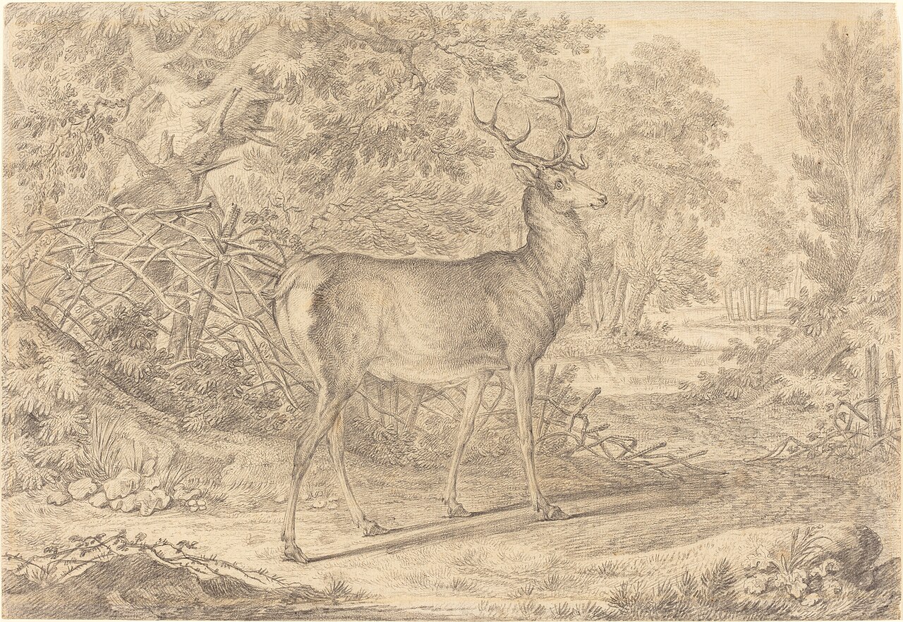 A Splendid Young Stag before a Wattle Fence by Johann Elias Ridinger