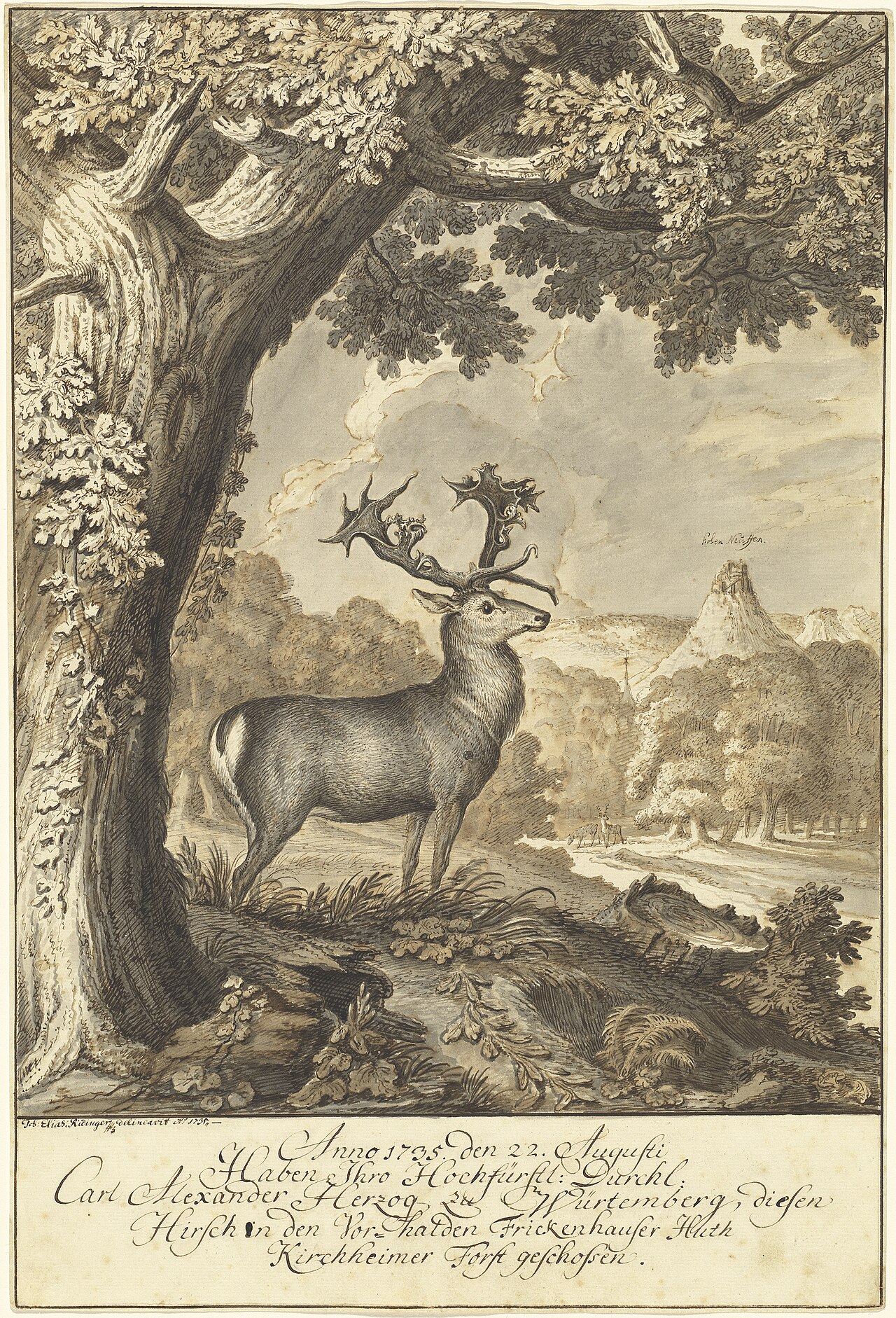 A Stag beneath a Mighty Oak by Johann Elias Ridinger
