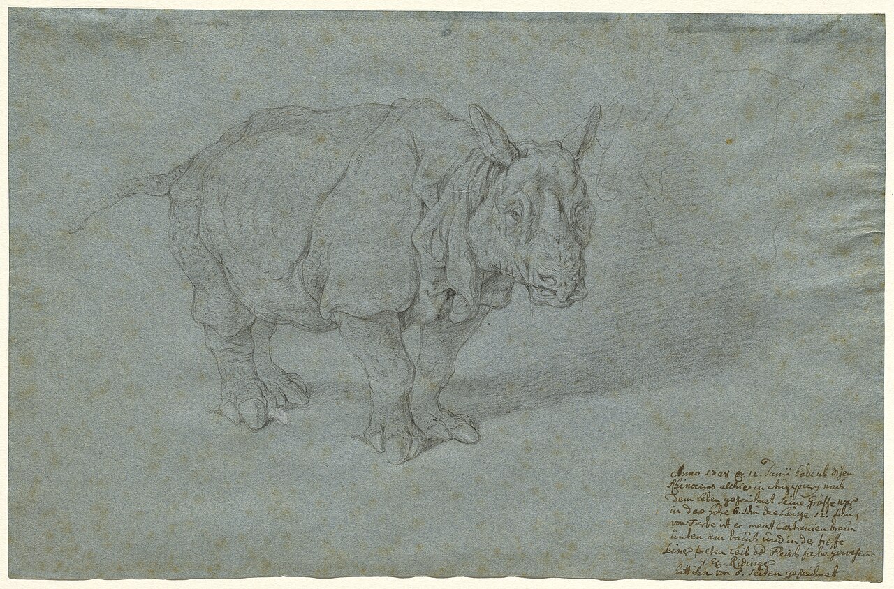 The Rhinoceros "Miss Clara" by Johann Elias Ridinger