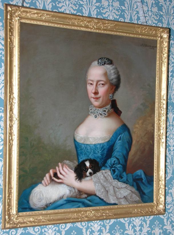 Portrait of Sara Elizabeth Blaaukamer by Johann Ernst Heinsius