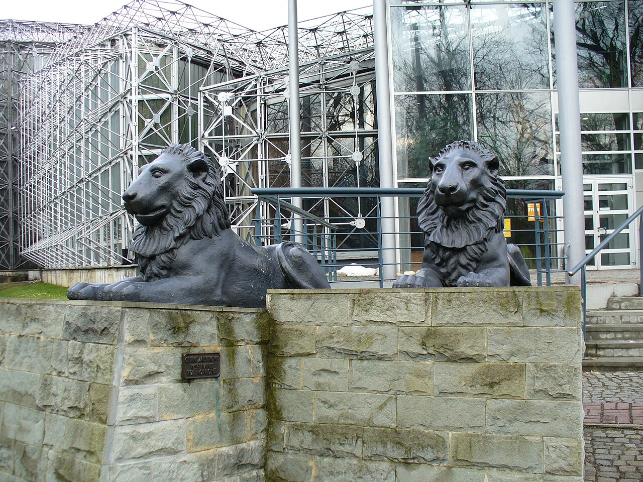 Lying lions by Johann Gottfried Schadow