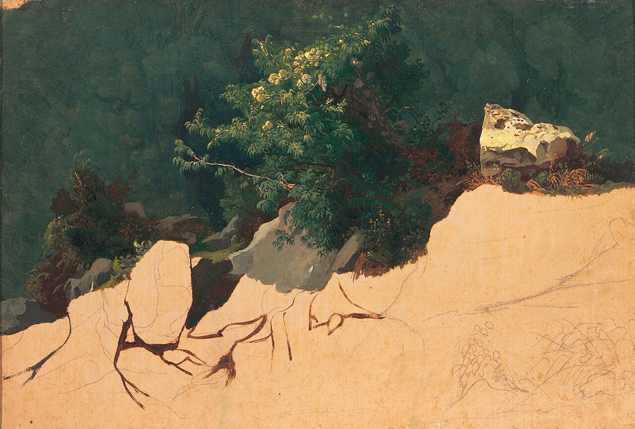 Study of Mountain Laurel and Rocks in the Roman Campagna by Johann Jakob Frey