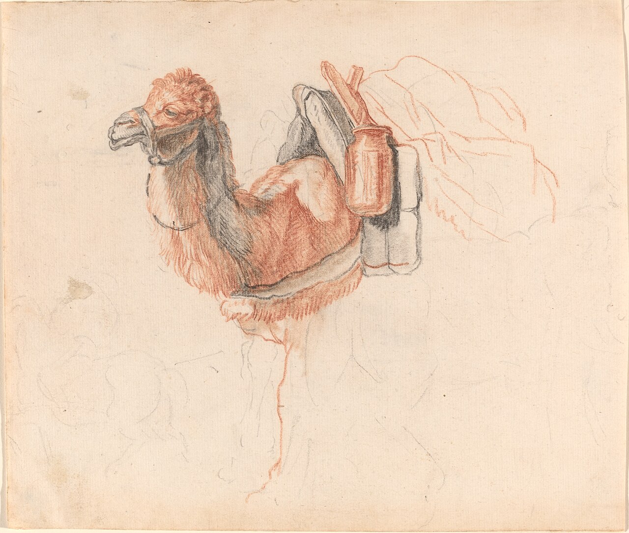 Camel by Johann Rudolph Schellenberg